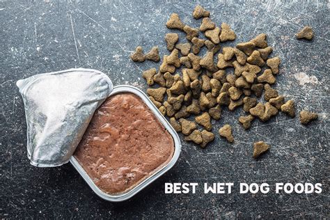 what are some food quality wet dog foods